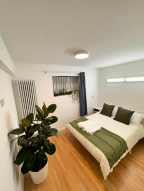 Luxury 2 BHK in Canary Wharf